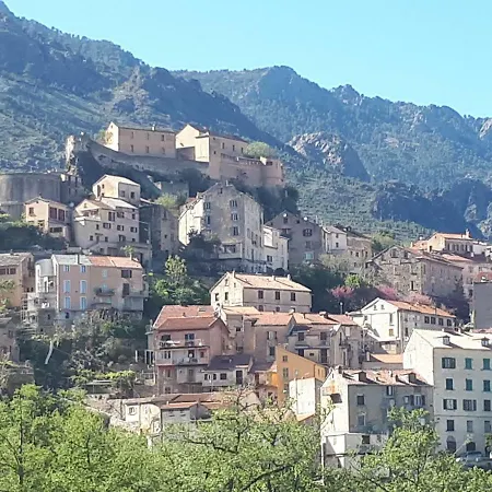 Dans Neuve Et Calme * Corte (Corsica)
